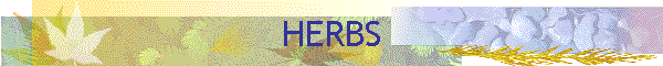 HERBS