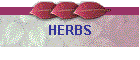 HERBS