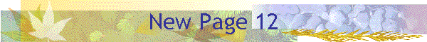 New Page 12