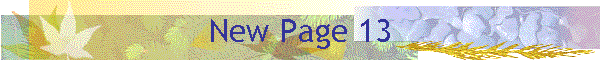 New Page 13
