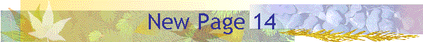 New Page 14