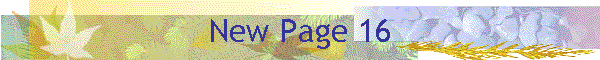 New Page 16