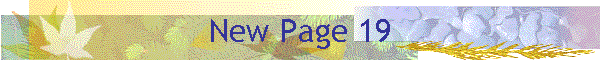 New Page 19