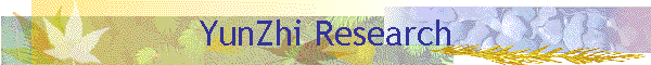 YunZhi Research
