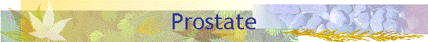 Prostate